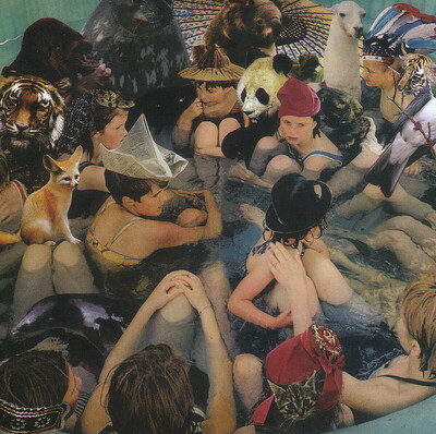 Panda Bear - Person Pitch