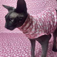 Mauve Rose Tussie-Mussie - Ribbed Sleepwear - Thumbnail 2