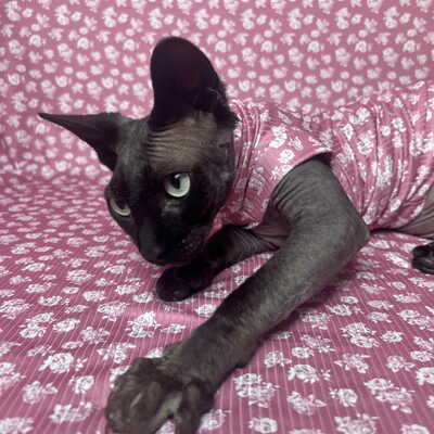 Mauve rose tussie-mussie - ribbed sleepwear - Thumbnail 1