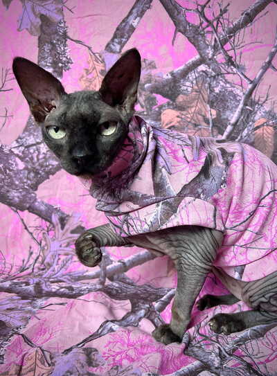 In The Pink Camo