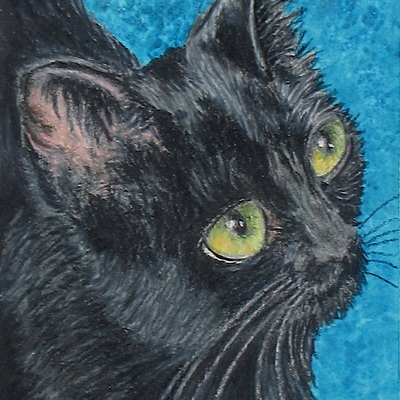 "adopt me" artwork featuring cats and animals, black cat art, 5x7 inch original artwork by n.e.thompson