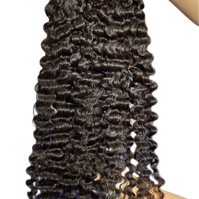 Raw burmese curly 