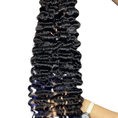 Virgin burmese curly 