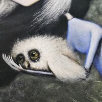 Print by August Vilella "Freedom"  - Thumbnail 5