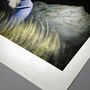 Print by August Vilella "Freedom" -3
