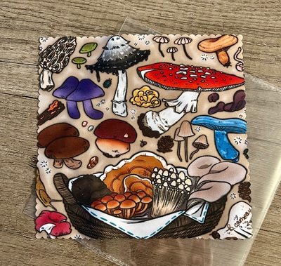 Mushroom Lens Cloth