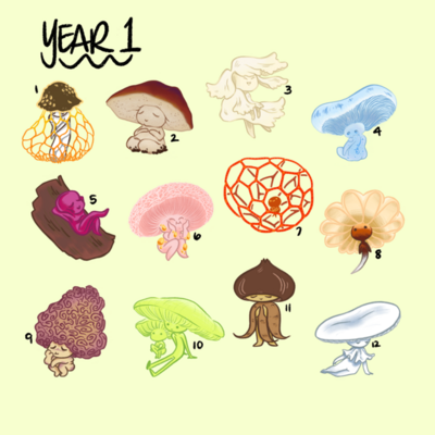 Fungi friends!!