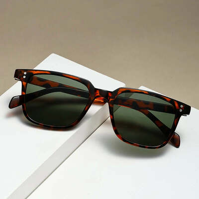 Small square frame sunglasses fashionable personality retro new sunglasses men's business casual sunglasses