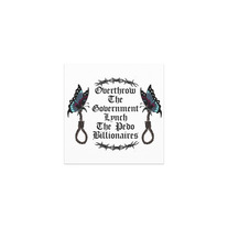 Overthrow the gov Car magnets