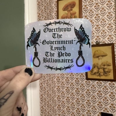 Overthrow the government sticker