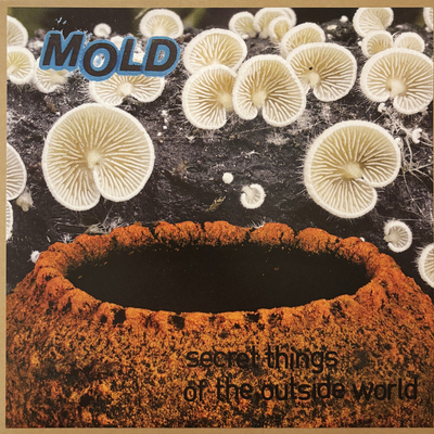 Mold 'secret things of the outside world' 12"