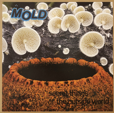 Mold 'Secret Things Of the Outside World' 12"