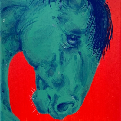 Horse in bar - [print]
