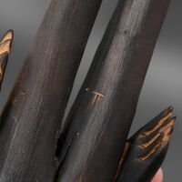 Wooden sculpture by Tach Pollard "Wind Walker"  - Thumbnail 6