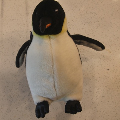 Mr. penguin