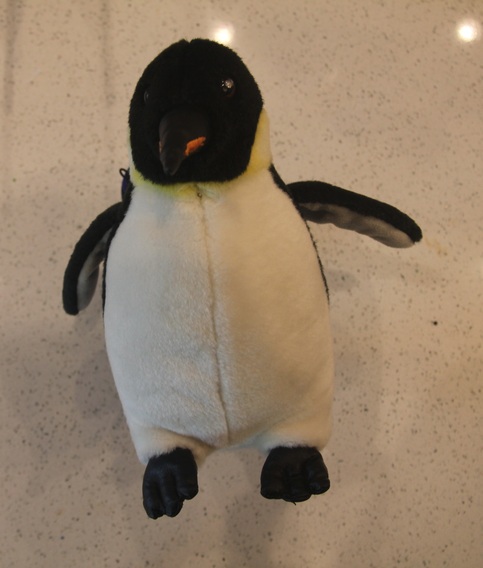 Mr. Penguin