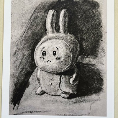 Charcoal bunny 