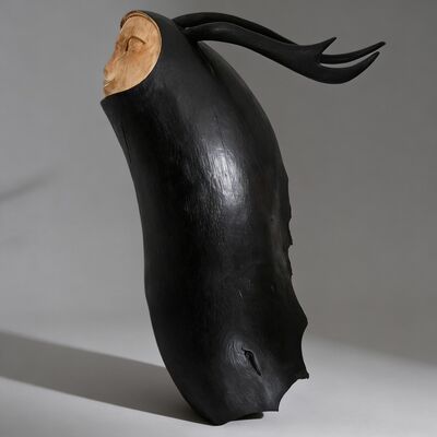 Wooden sculpture by tach pollard "antler" 