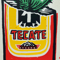 A toucan and a Tecaté - Thumbnail 6