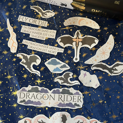 Motifs à broder - fourth wing