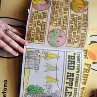 Fruit Town Funnies Zine - Thumbnail 5