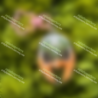 Secret Menu - Thumbnail 2
