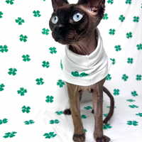 Four-Leaf Clovers - Sleepwear - Thumbnail 2