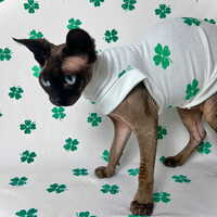 Four-Leaf Clovers - Sleepwear - Thumbnail 1