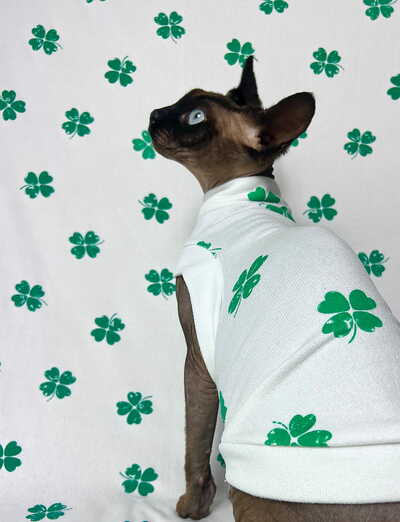 Four-Leaf Clovers - Sleepwear