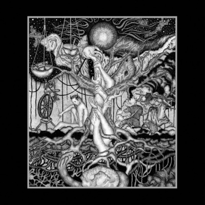 Lucifugum - anaphora lithu actinism
