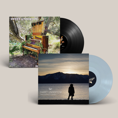 Vinyl bundle (blue) - days without names + skeletone machine
