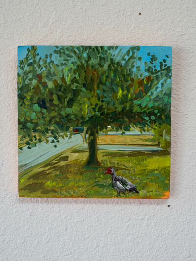 What the Duck - Small Original Painting 