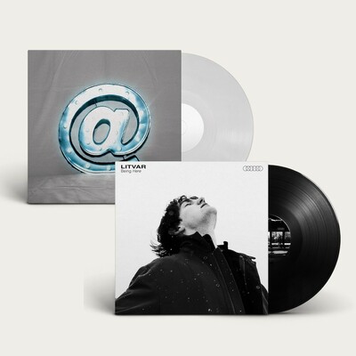 2 vinyl bundle - being here + greatest movie - litvar