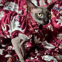 Burgundy Bloom - Velvet - Thumbnail 1