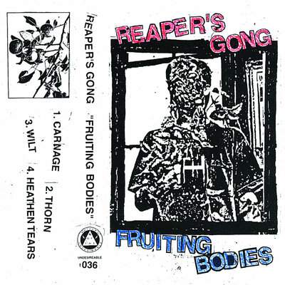 Reaper's gong - fruiting bodies