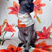 Stargazer Lilies - Sleepwear - Thumbnail 2