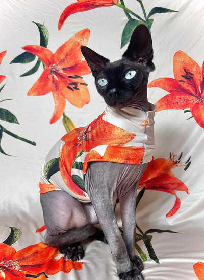 Stargazer Lilies - Sleepwear
