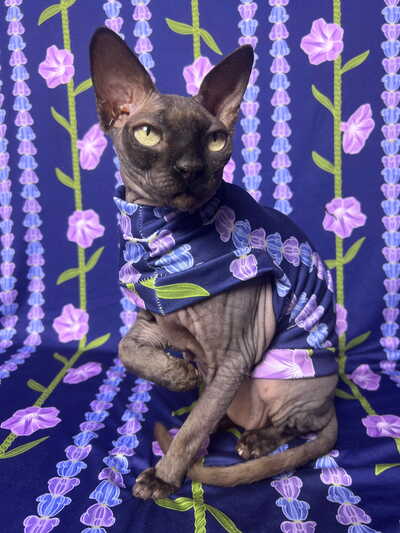 Lilac Alleluia - Sleepwear