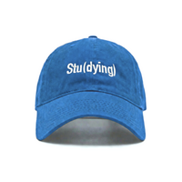 STU(DYING) HAT - Thumbnail 2