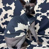 Mooooooo! - Sleepwear - Thumbnail 1