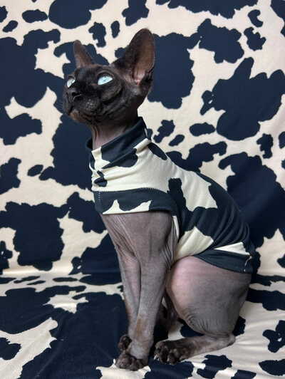 Mooooooo! - Sleepwear