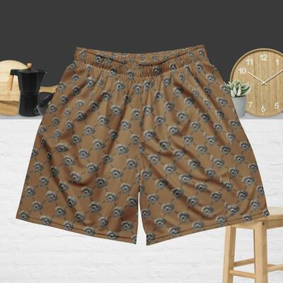 Frisco hoop shorts