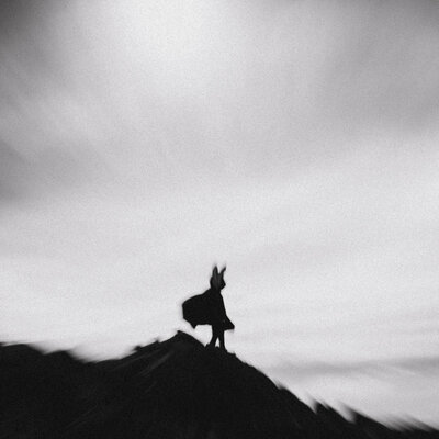 Lord of confusion - the weight of life