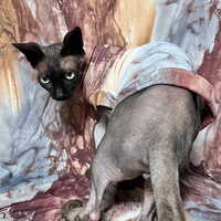 Marbleized Sweaterknit - Thumbnail 2