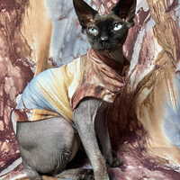 Marbleized Sweaterknit - Thumbnail 1