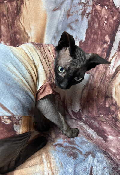 Marbleized Sweaterknit