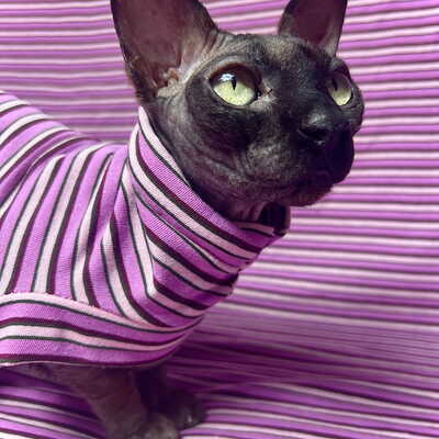Berry buzz stripes - sleepwear - Thumbnail 1