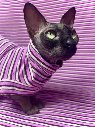 Berry Buzz Stripes - Sleepwear