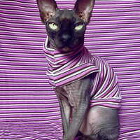 Berry Buzz Stripes - Sleepwear - Thumbnail 2
