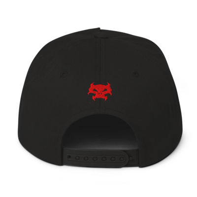 Red embroidered "kryptik" snapback